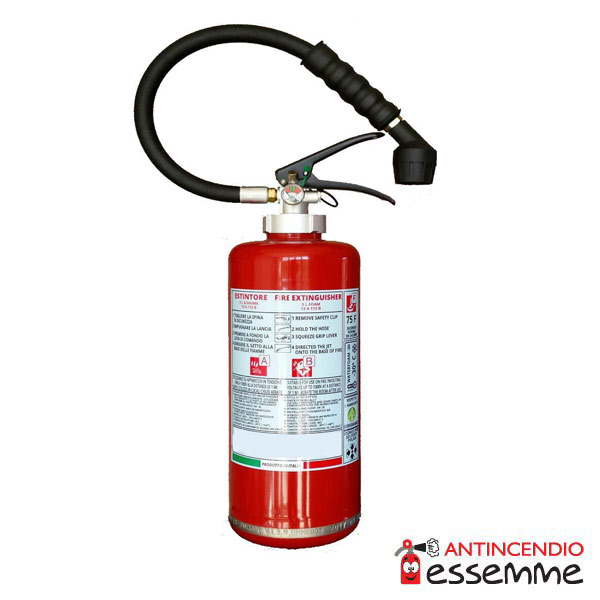 Estintore Schiuma Lt 3 13A 113BC 40F